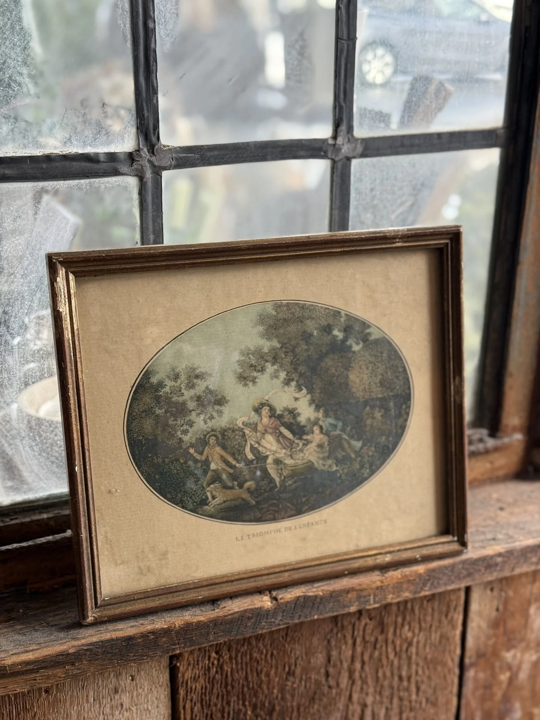 antique-hand-colored-french-